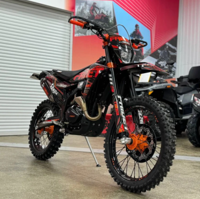 Кроссовый мотоцикл FAIDET PR300 MAX WP в Владимире