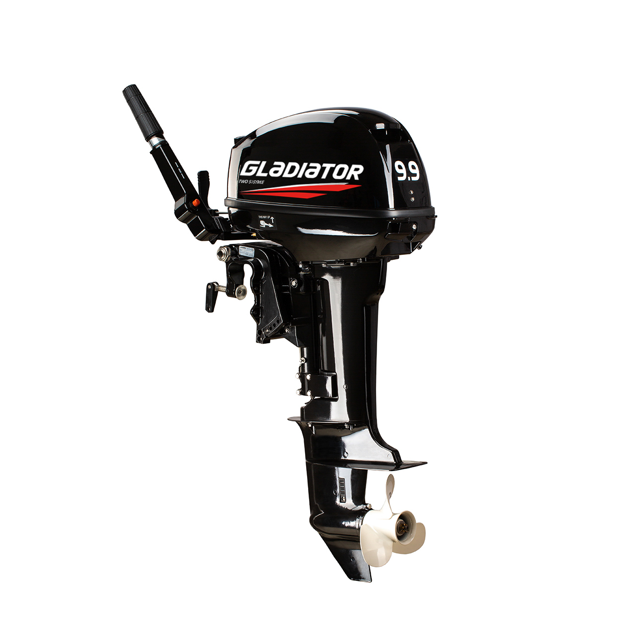 ЛОДОЧНЫЙ МОТОР GLADIATOR G9.9FHS в Владимире