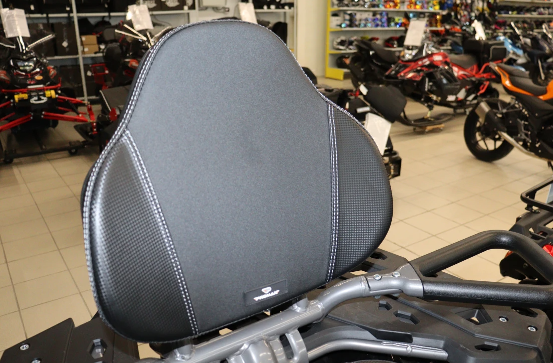 Квадроцикл PROMAX RENEGADE 300 LONG WINCH PRO (2025) в Владимире