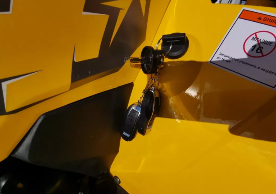 Квадроцикл MOTOLAND (МОТОЛЕНД) VOX200 WILD TRACK X PRO (баланс. вал) в Владимире