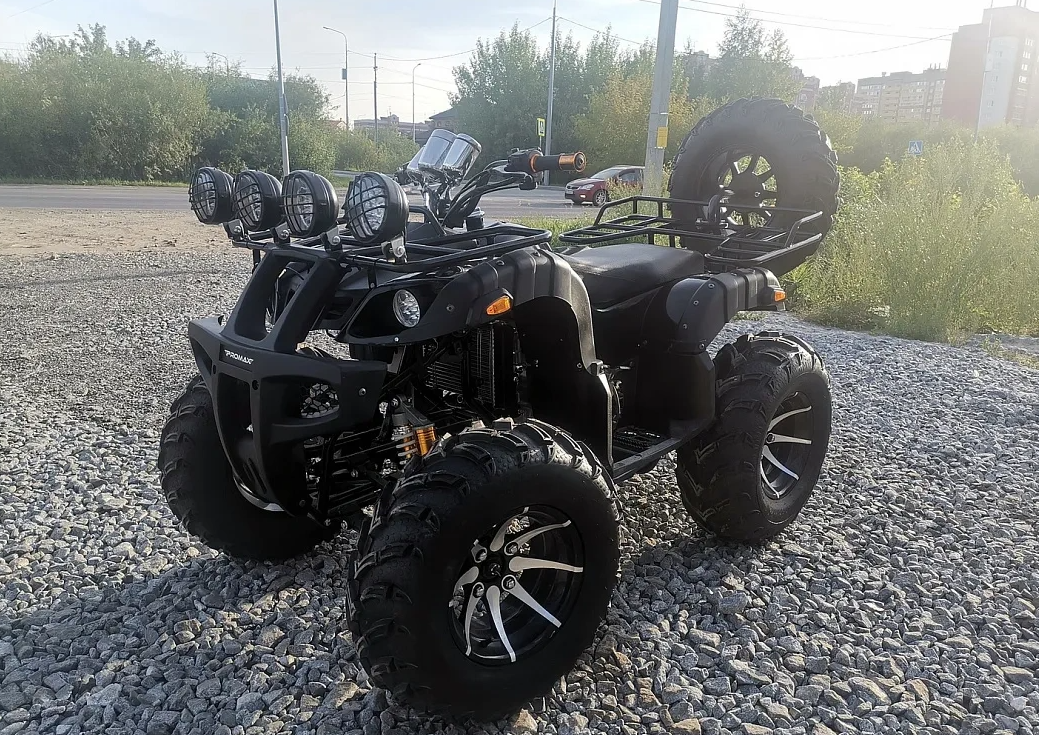 Квадроцикл PROMAX LEO 300 Max (кардан) в Владимире