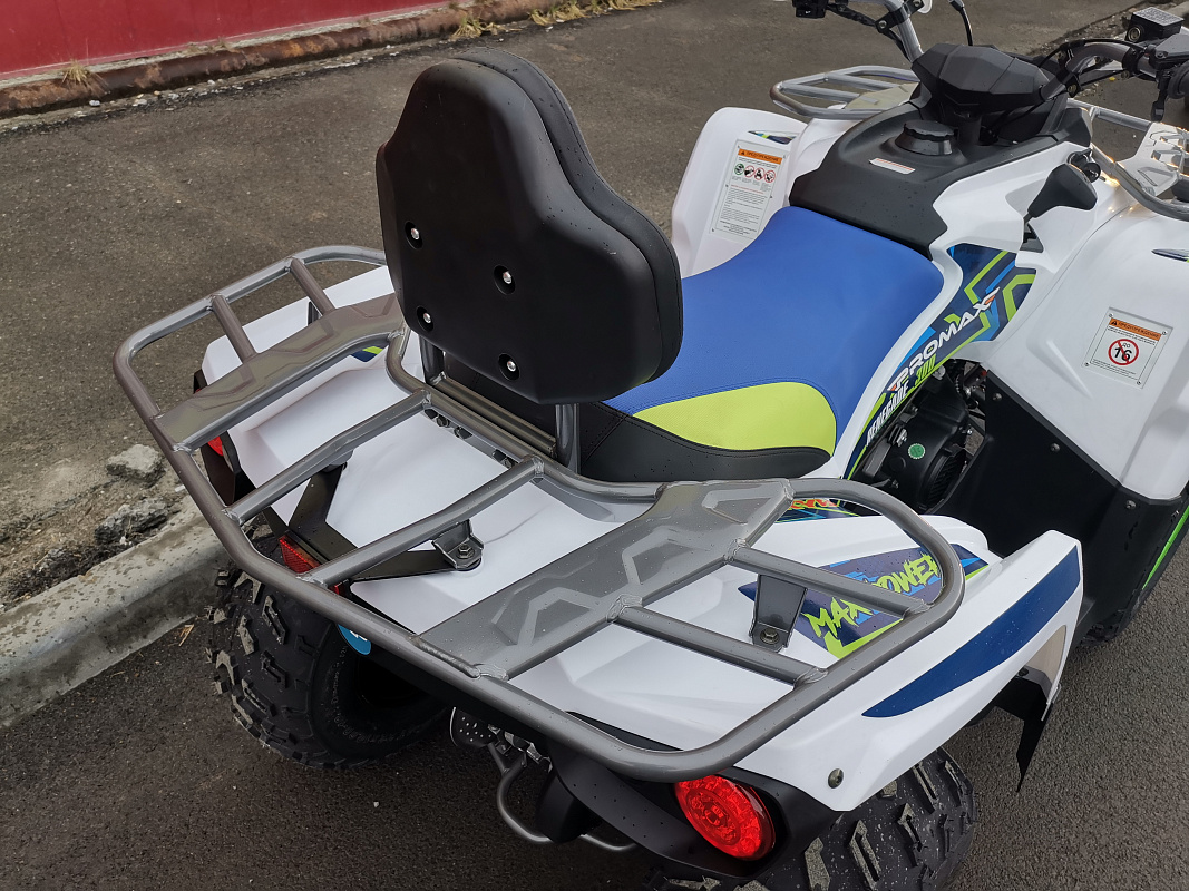 Квадроцикл PROMAX RENEGADE 280 LUX (2025) в Владимире