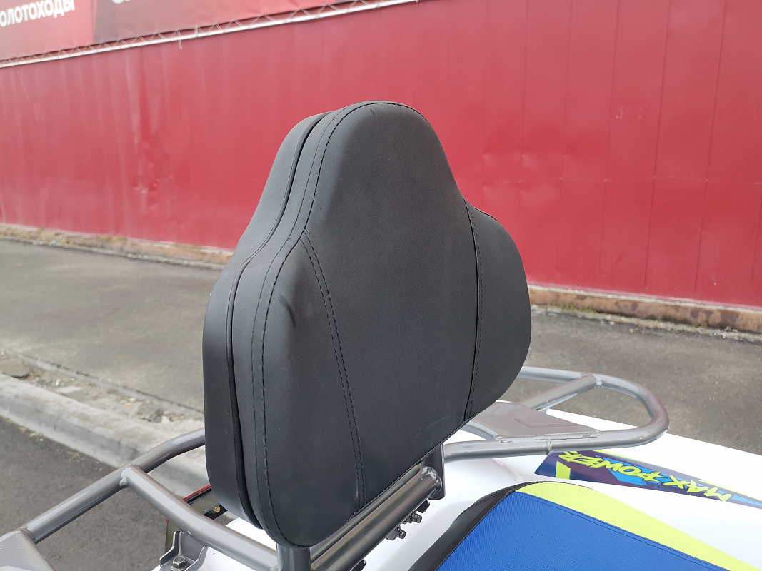 Квадроцикл PROMAX RENEGADE 280 LUX (2025) в Владимире