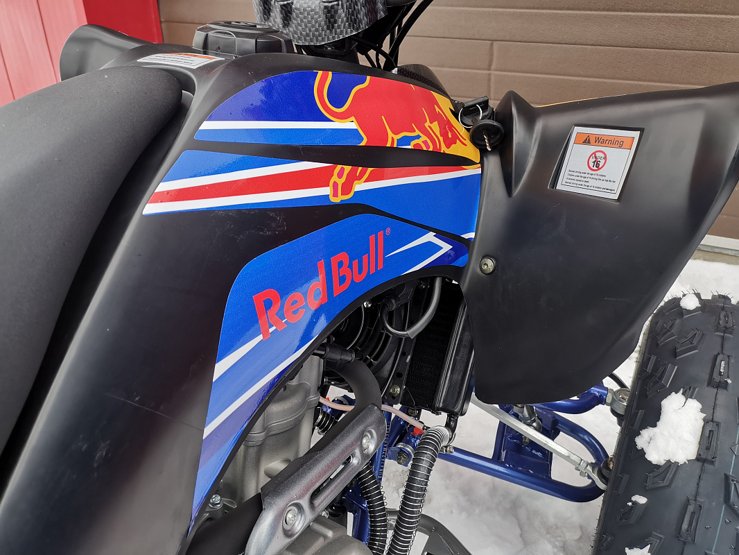 Квадроцикл PROMAX RAPTOR 300 NEW RedBull в Владимире