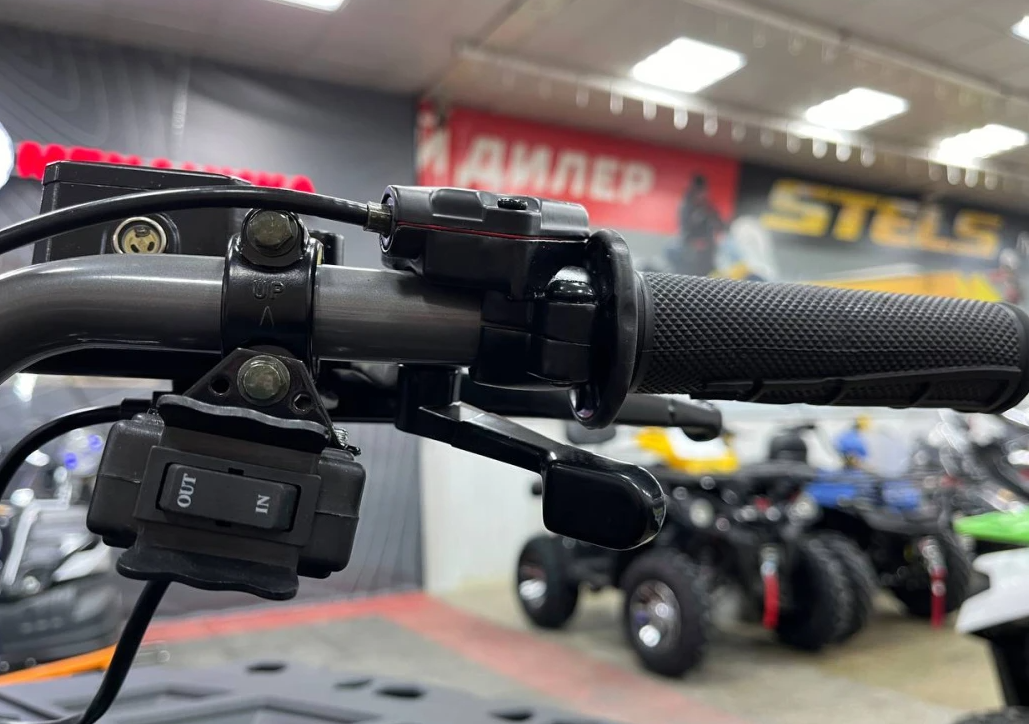 Квадроцикл PROMAX RENEGADE 300 LONG WINCH PRO (2025) в Владимире