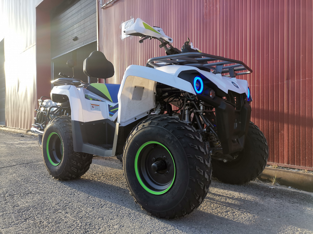 Квадроцикл PROMAX RENEGADE 280 LUX (2025) в Владимире
