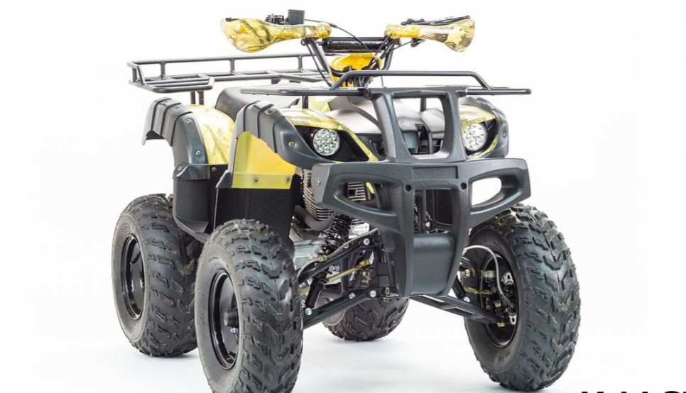 Квадроцикл MOTOLAND (МОТОЛЕНД) 250 ADVENTURE в Владимире