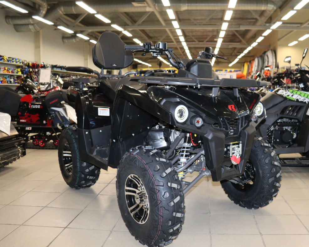 Квадроцикл PROMAX RENEGADE 300 LONG WINCH PRO (2025) в Владимире