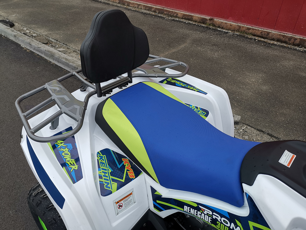 Квадроцикл PROMAX RENEGADE 280 LUX (2025) в Владимире