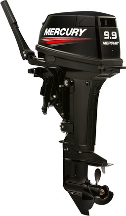 ЛОДОЧНЫЙ МОТОР MERCURY 9.9 MH TMC 247 CC в Владимире