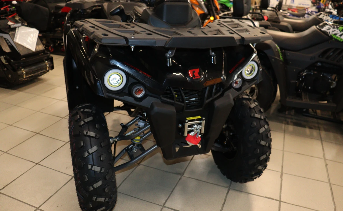 Квадроцикл PROMAX RENEGADE 300 LONG WINCH PRO (2025) в Владимире