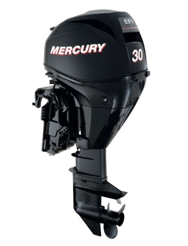 ЛОДОЧНЫЙ МОТОР MERCURY  F 30 ELH GA EFI в Владимире