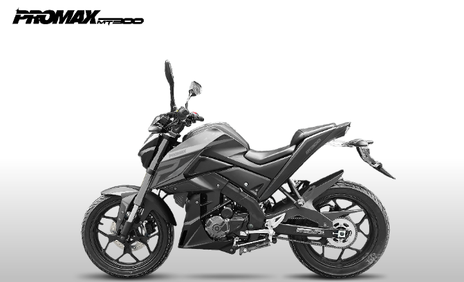 Мотоцикл PROMAX MT300 в Владимире