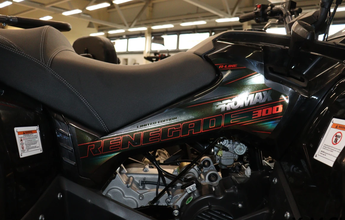 Квадроцикл PROMAX RENEGADE 300 LONG WINCH PRO (2025) в Владимире