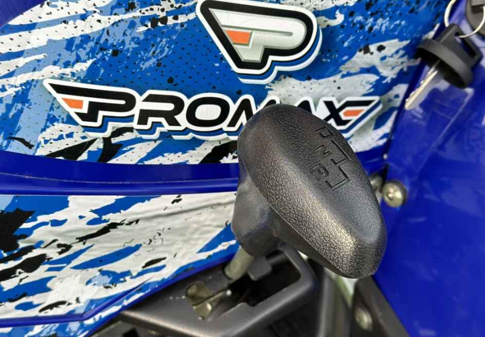  Квадроцикл PROMAX ATV 250 MAX (2025) в Владимире