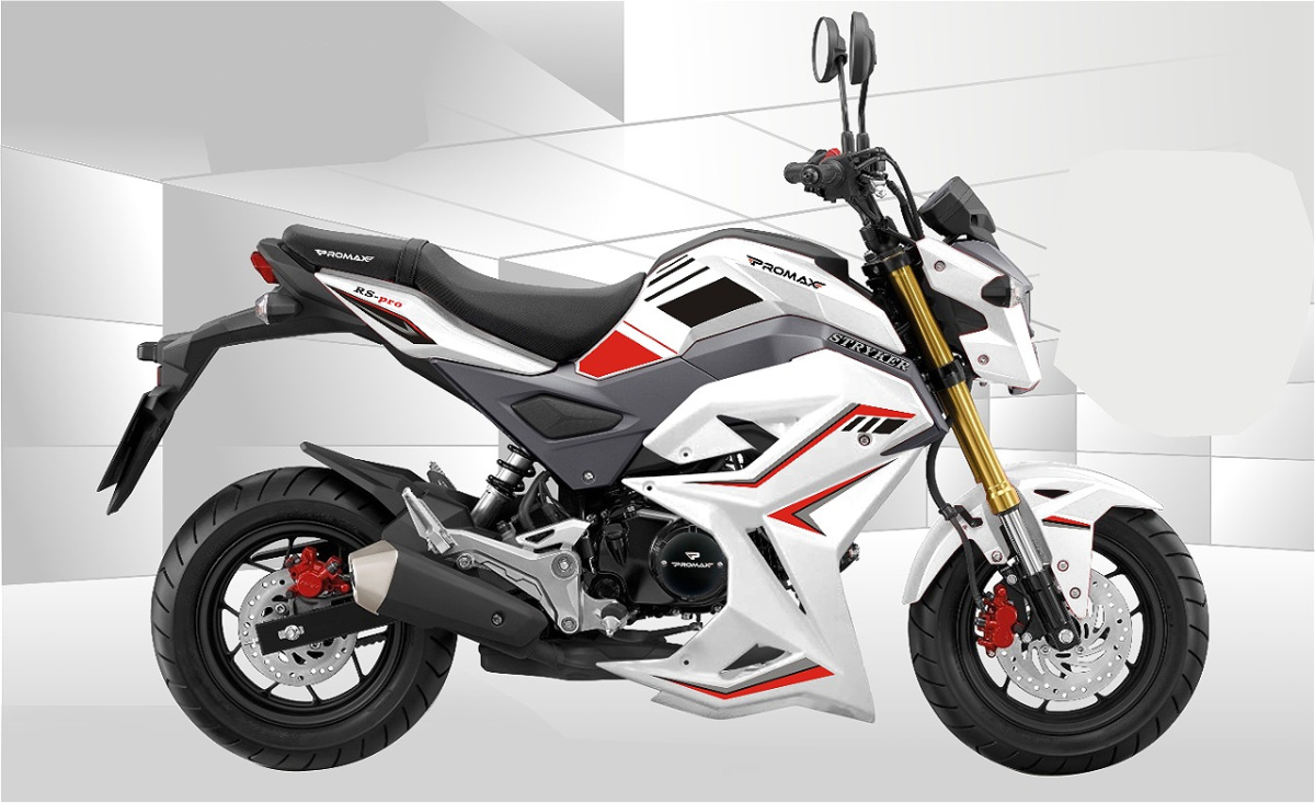 Мотоцикл PROMAX STRYKER 200(49) 2.0 в Владимире