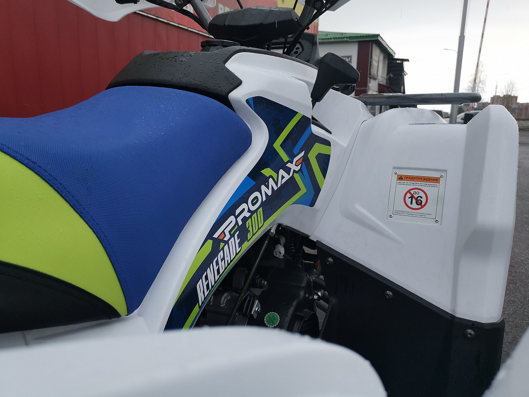 Квадроцикл PROMAX RENEGADE 280 LUX (2025) в Владимире