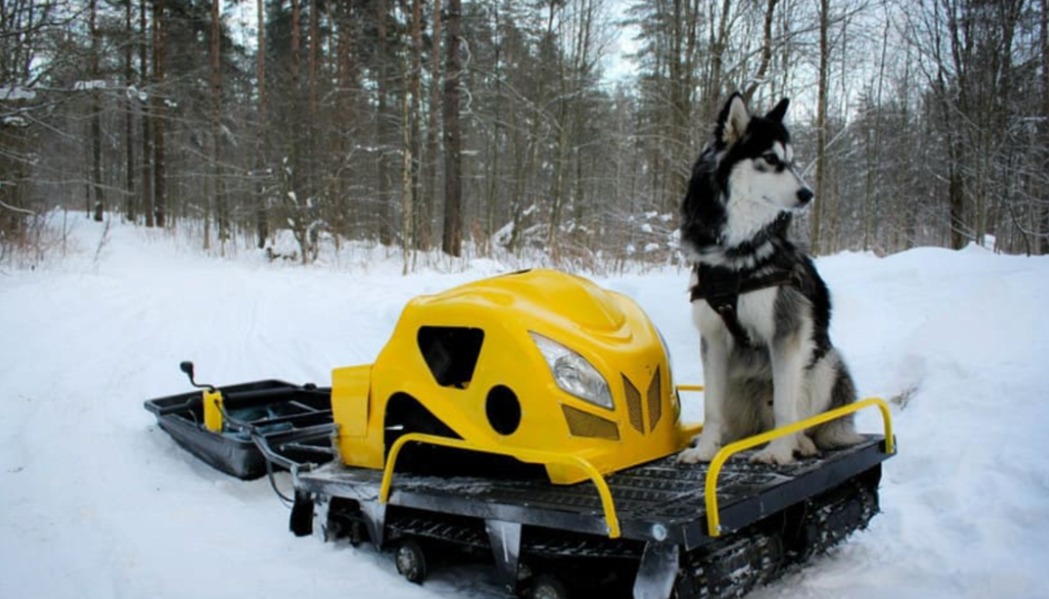 Мотобуксировщик LEBEDEV MOTORS ВОЛКОДАВ POWER V13 в Владимире