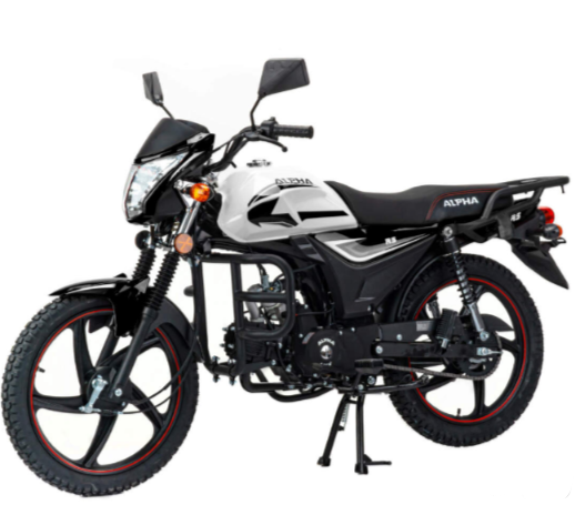 Мопед MOTOLAND (МОТОЛЕНД) Альфа RS 11 (LM48-B) в Владимире