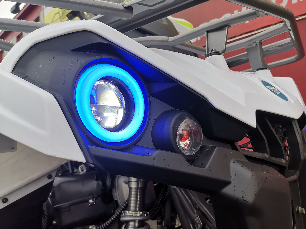 Квадроцикл PROMAX RENEGADE 280 LUX (2025) в Владимире