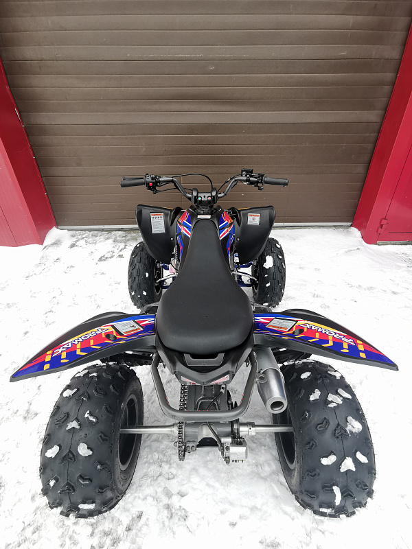 Квадроцикл PROMAX RAPTOR 300 NEW RedBull в Владимире