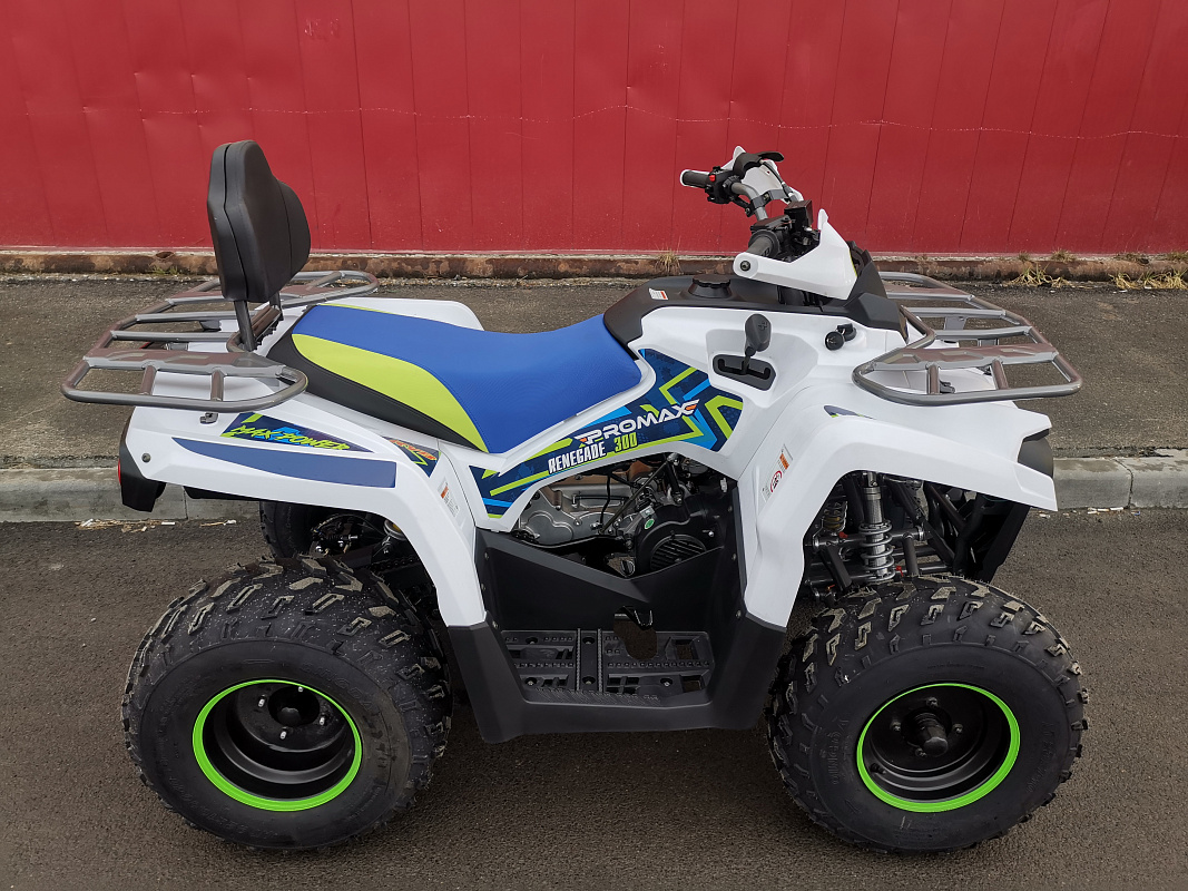 Квадроцикл PROMAX RENEGADE 280 LUX (2025) в Владимире