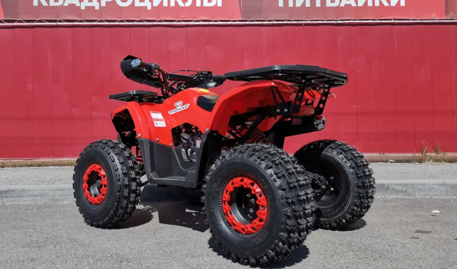 Квадроцикл PROMAX WILD 175 BASIC в Владимире