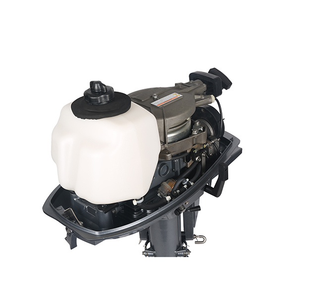 ЛОДОЧНЫЙ МОТОР ALLFA CG T5 в Владимире