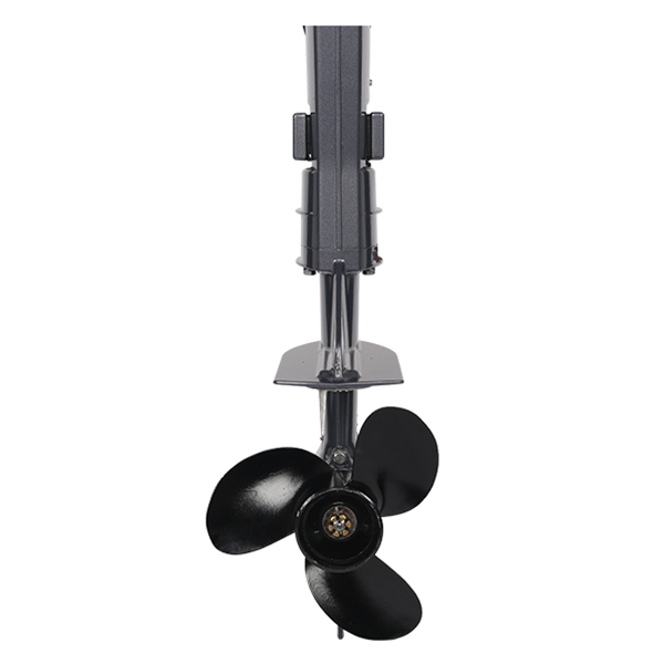 ЛОДОЧНЫЙ МОТОР ALLFA CG T5 в Владимире