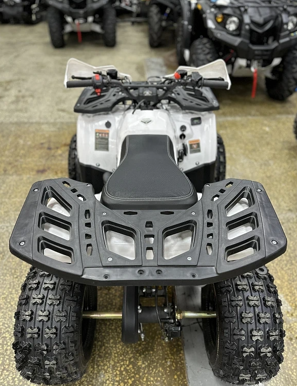 Квадроцикл PROMAX WILD 2.0 190 в Владимире