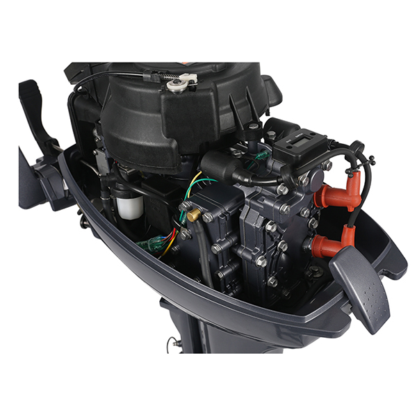 ЛОДОЧНЫЙ МОТОР ALLFA CG Т9,9 Limit в Владимире