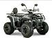 Квадроцикл YACOTA DRAGON LUX LD 150 PRO-SPORT в Владимире