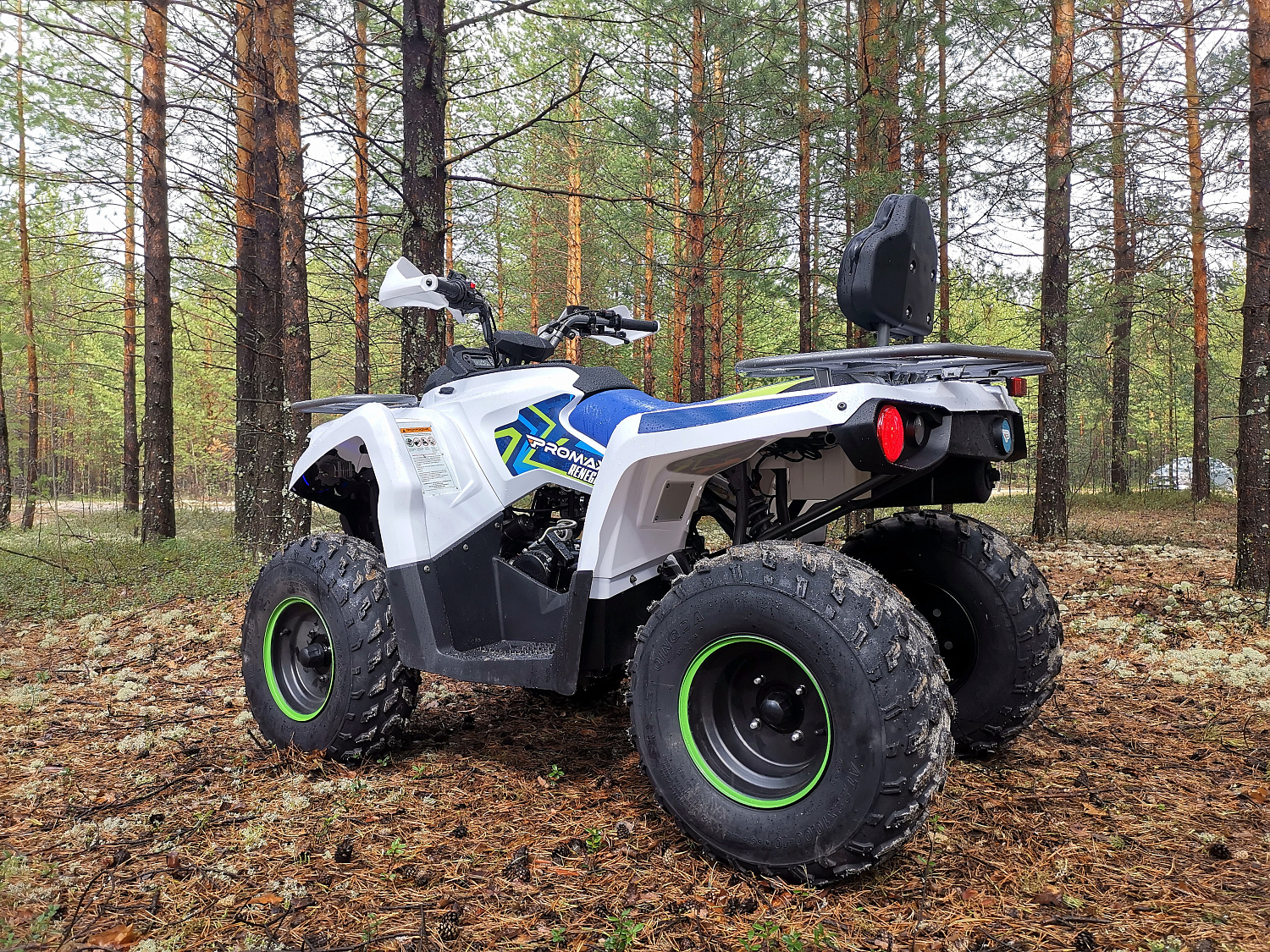 Квадроцикл PROMAX RENEGADE 280 (2025) в Владимире