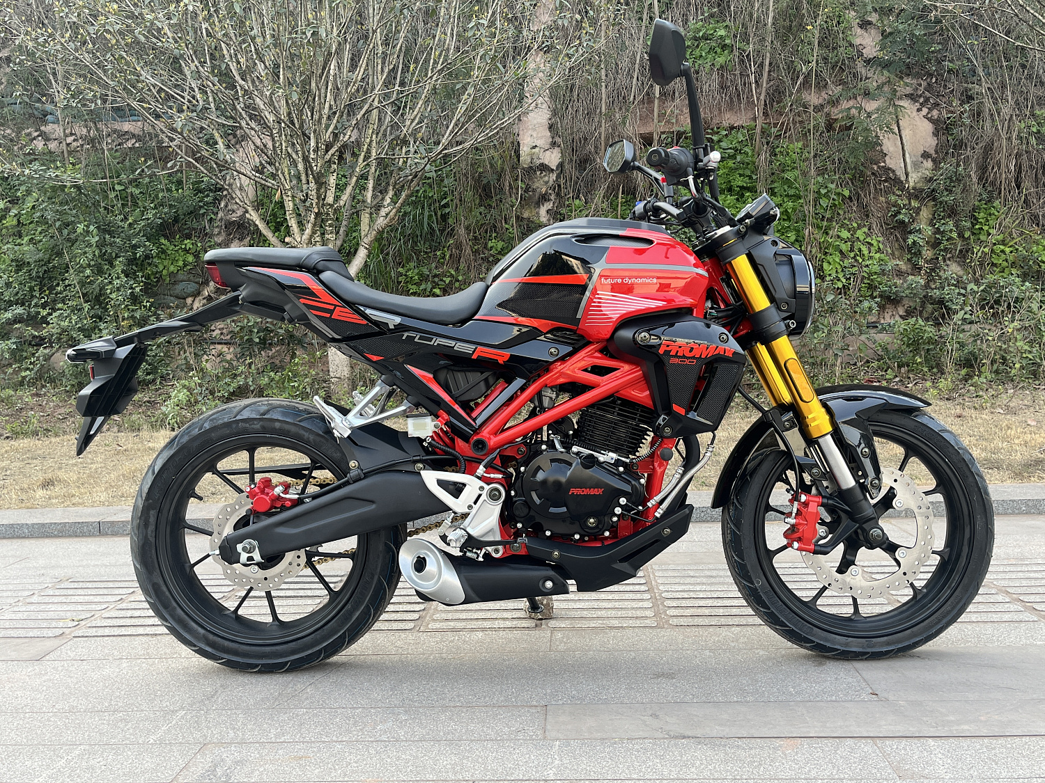 Мотоцикл PROMAX CB300 в Владимире