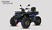 Квадроцикл PROMAX TAURUS 300 MAX-PRO LONG в Владимире
