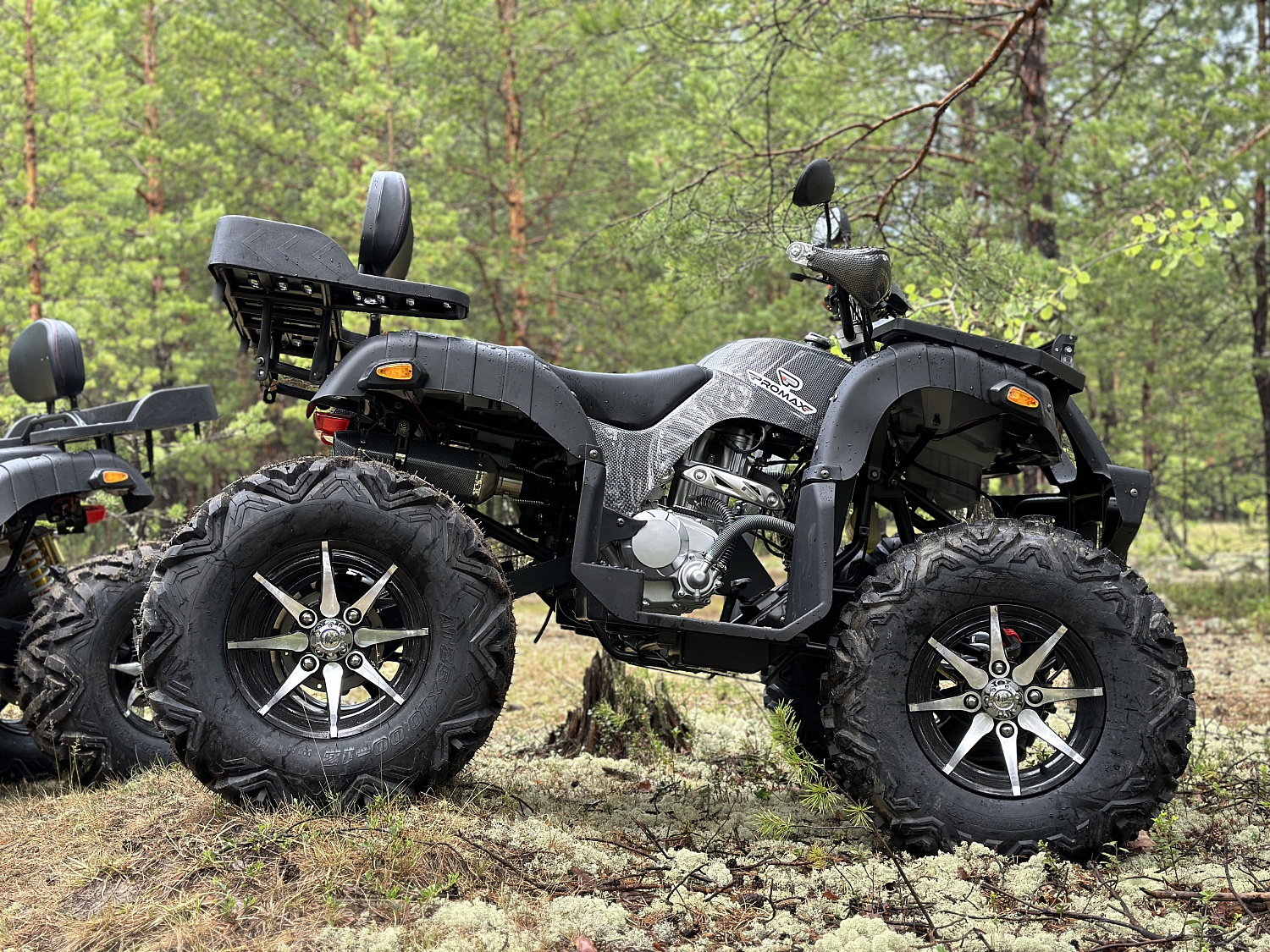 Квадроцикл PROMAX 320 DOMINATOR PRO (2025) в Владимире