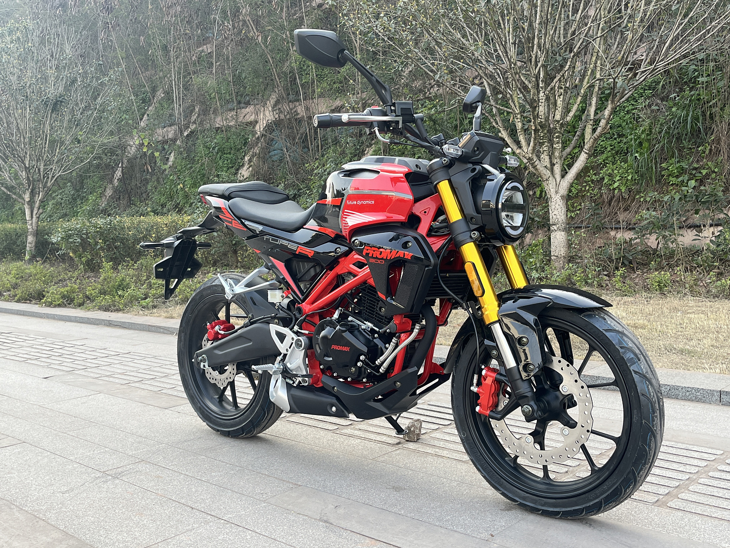 Мотоцикл PROMAX CB300 в Владимире