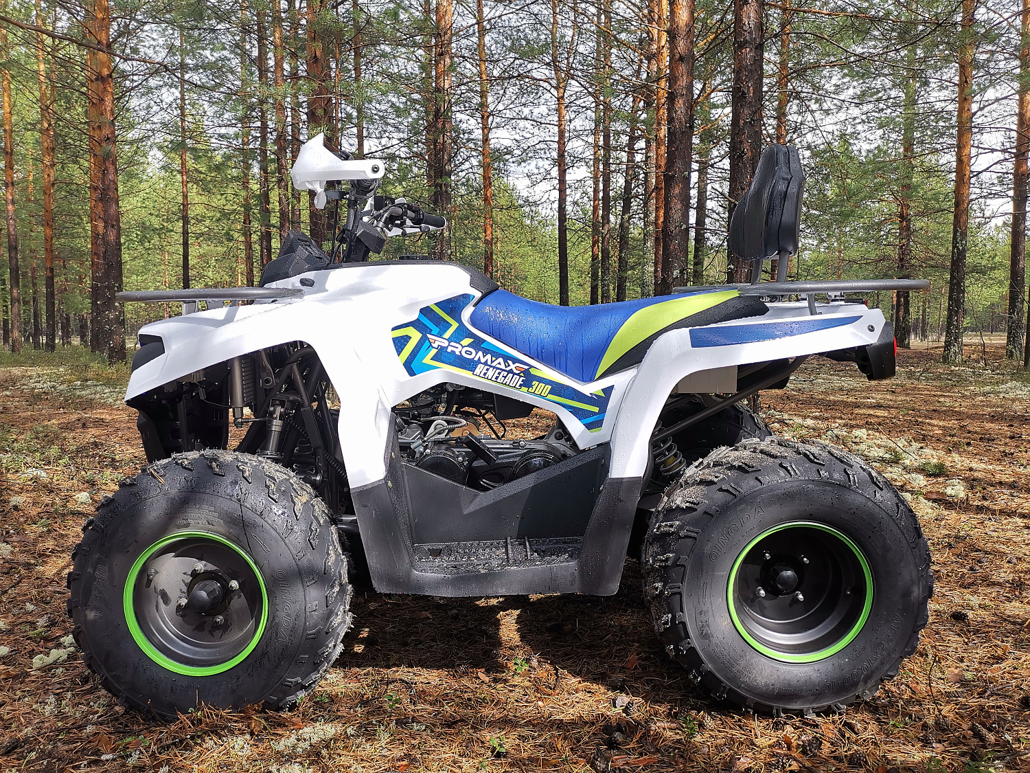 Квадроцикл PROMAX RENEGADE 280 (2025) в Владимире