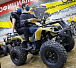Квадроцикл PROMAX ATV 250 (2025) в Владимире
