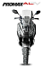 МаксиСкутер PROMAX-HONDA ADV 150 (49) (Inspired by HONDA) в Владимире