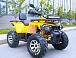 Квадроцикл MOTOLAND (МОТОЛЕНД) VOX200 WILD TRACK X PRO (баланс. вал) в Владимире