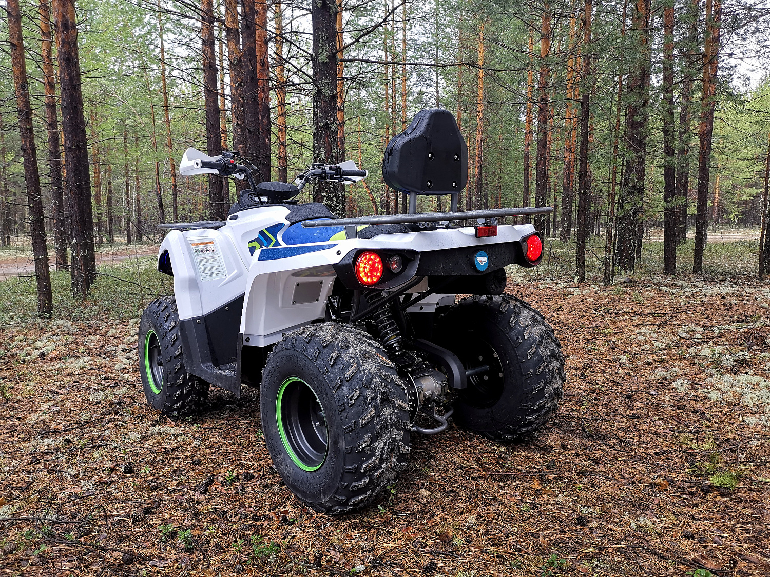 Квадроцикл PROMAX RENEGADE 280 (2025) в Владимире