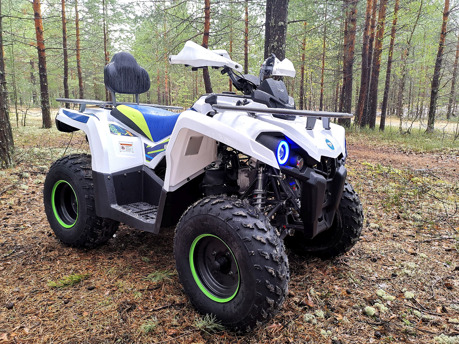 Квадроцикл PROMAX RENEGADE 280 (2025) в Владимире
