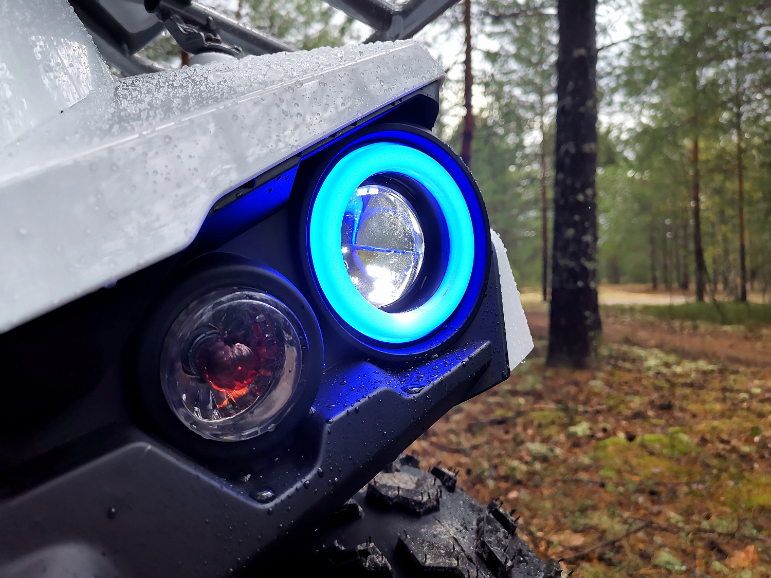 Квадроцикл PROMAX RENEGADE 280 (2025) в Владимире