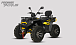 Квадроцикл PROMAX TAURUS 300 MAX-PRO LONG в Владимире